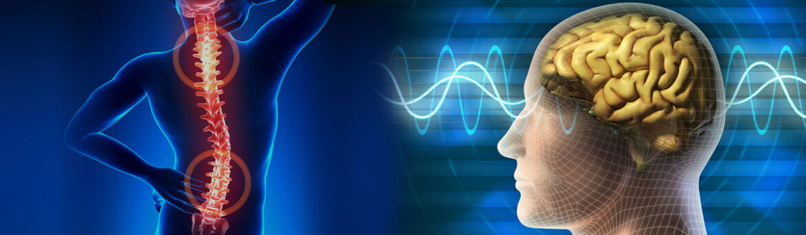 16_82 Neuro and Spine Surgeries