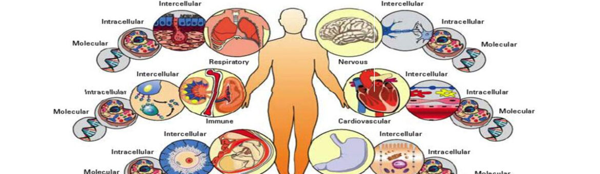 451_580 Stem Cells Treatment