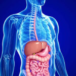 Gastroenterology Treatment Cost in India